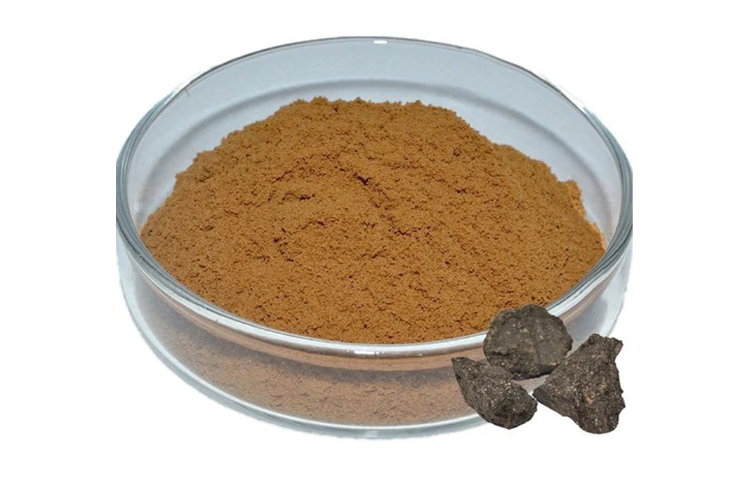 Shilajit Powder